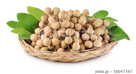 longan on white background longan on white background 38047367
