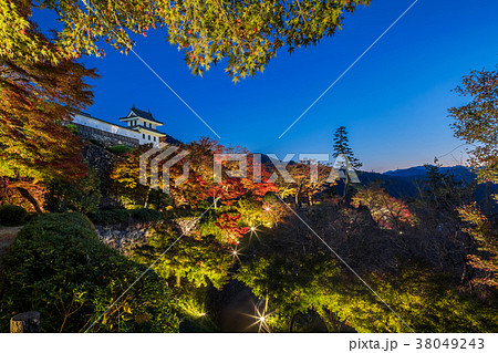郡上八幡城 紅葉ライトアップ 郡上市八幡町の写真素材