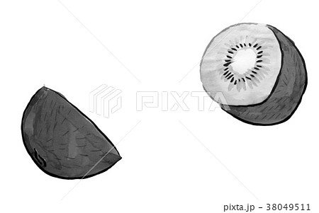 キウイフルーツ カット 水墨画 のイラスト素材 38049511 Pixta