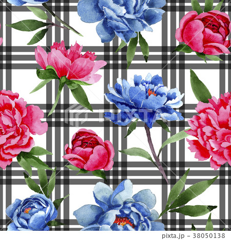 Wildflower red and blue peonies flowers pattern in 38050138