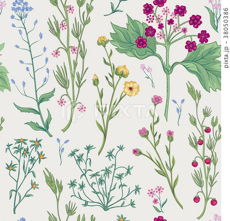 Floral herb garden tile pattern. Flower background 38050386