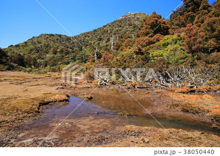 屋久島 淀川登山口~宮之浦岳登山道 花之江河 屋久島 淀川登山口~宮之浦岳登山道 花之江河 38050440