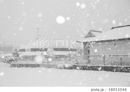 武蔵府中熊野神社古墳 雪景色 38053046