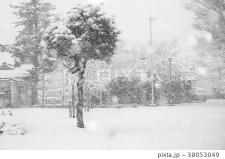 武蔵府中熊野神社古墳 雪景色 武蔵府中熊野神社古墳 雪景色 38053049