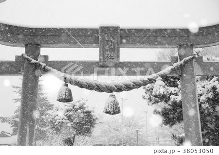 武蔵府中熊野神社古墳 雪景色 38053050