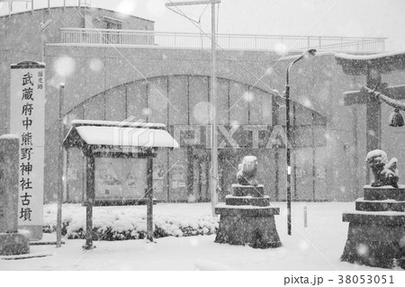 武蔵府中熊野神社古墳 雪景色 38053051