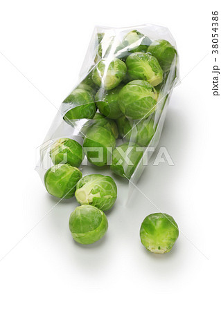 芽キャベツ 38054386