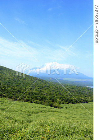 絶景風景(山梨、富士山、新緑) 絶景風景(山梨、富士山、新緑) 38055377