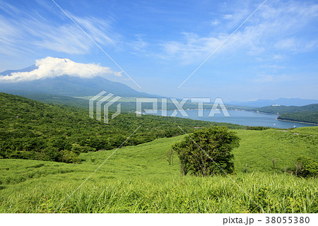 絶景風景（山梨、富士山、新緑） 38055380