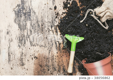 Small rake and flower pot with soil Small rake and flower pot with soil 38056862
