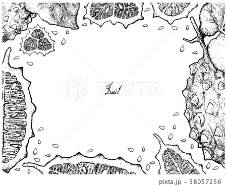 Hand Drawn Frame of Horned Melon or Kiwano 38057256