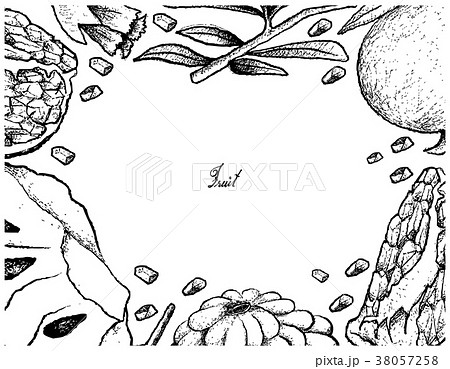 Frame of Ripe Custard Apple and Pomegranate 38057258
