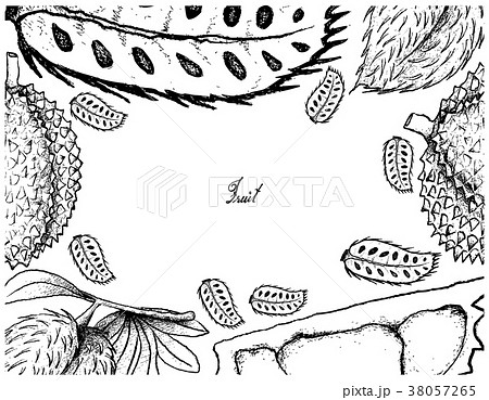 Hand Drawn Frame of Soursop and Durian Fruits Hand Drawn Frame of Soursop and Durian Fruits 38057265