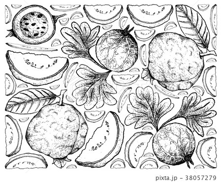 Background of Guava and Indian Gooseberry Background of Guava and Indian Gooseberry 38057279