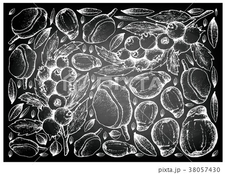 Blueberries and Red Mombin on Chalkboard 38057430