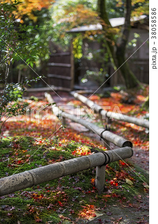 秋の直指庵 秋の直指庵 38058586