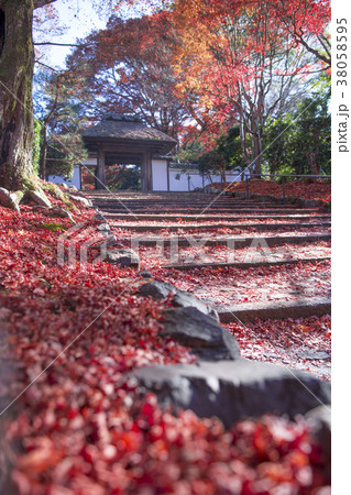 秋の安楽寺 38058595