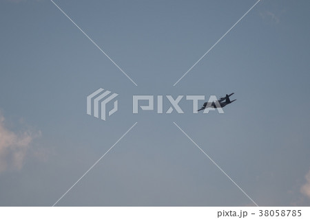 シルエット 38058785