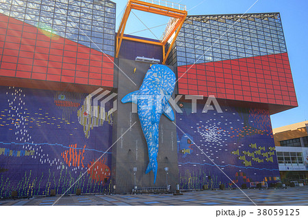 海遊館 海遊館 38059125