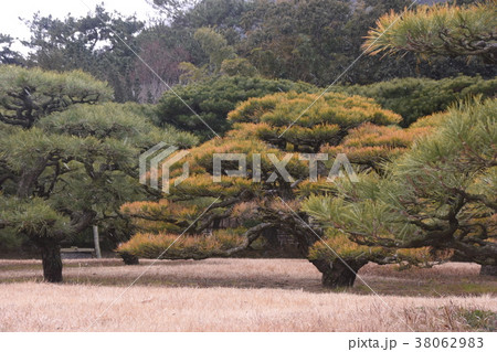 栗林公園 りつりんこうえん 高松 38062983