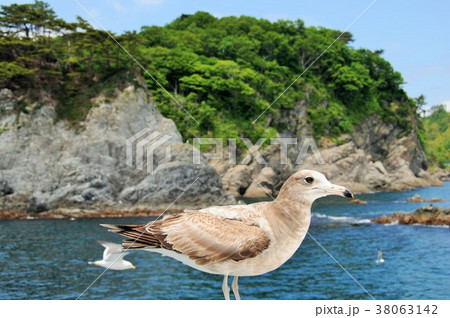海からの三陸海岸 38063142