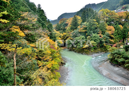 秋の奥多摩 多摩川と日原川 38063725