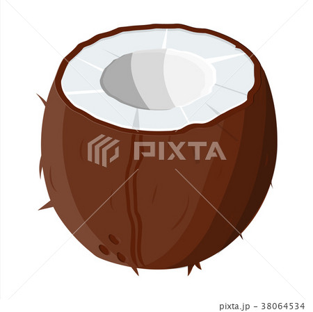 Ripe coconuts and half coconut on white. Ripe coconuts and half coconut on white. 38064534