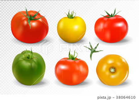 Realistic vector of 6 different colors of tomatoes 38064610