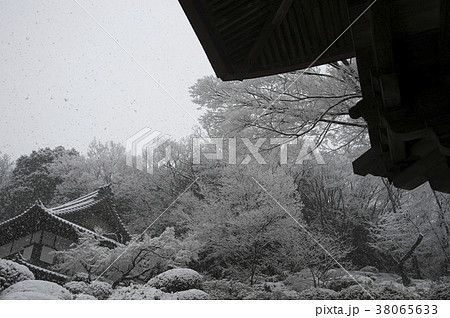 首都圏に大雪が降った日の等覚院境内 38065633