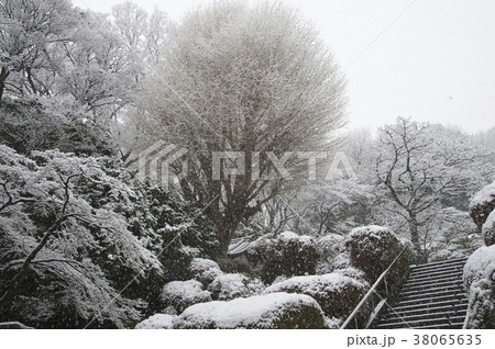 首都圏に大雪が降った日の等覚院境内 38065635