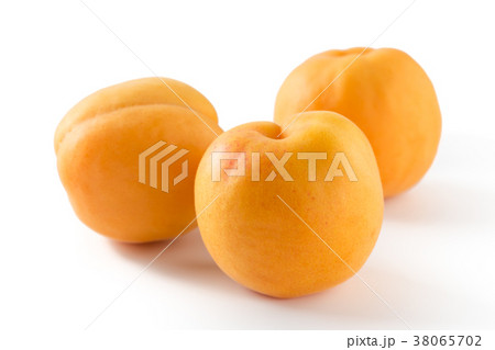 アンズ アンズ 38065702