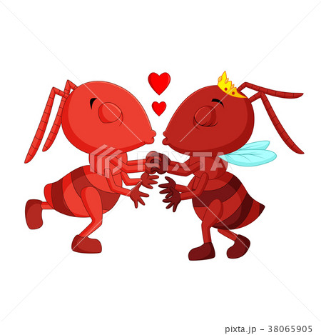 ant couple falling in love 38065905