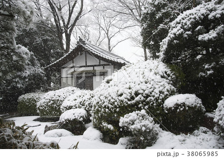 首都圏に大雪が降った日の等覚院境内 38065985