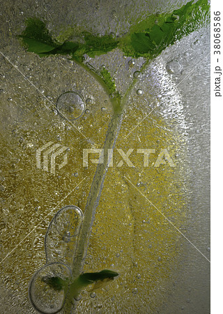 水 水分 ウォーター 38068586