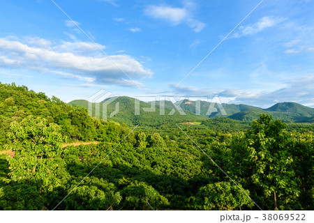 landscape of longan tree in Lamphun, Thailand 38069522