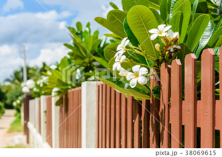 wood and metal fence of residential house wood and metal fence of residential house 38069615