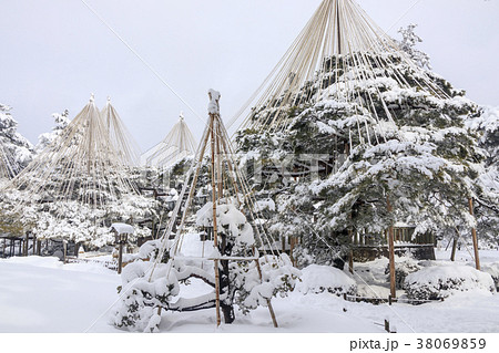 兼六園　冬 38069859