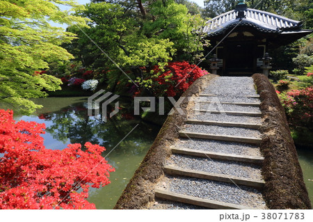 京都 初夏の桂離宮 京都 初夏の桂離宮 38071783