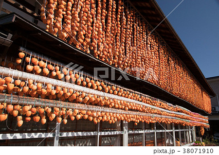 ころ柿の里 38071910