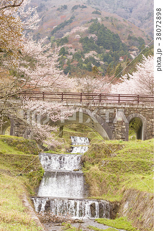 池田町霞間ヶ渓の桜 池田町霞間ヶ渓の桜 38072898