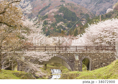 池田町霞間ヶ渓の桜 38072900