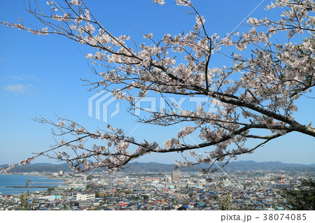 春の館山 春の館山 38074085