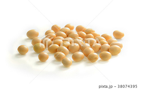 soybeans isolate on white background soybeans isolate on white background 38074395