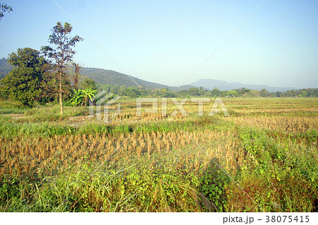 nature and photographer shadow 38075415