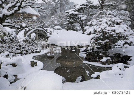 伊藤伝右衛門 38075425