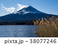 Mount Fuji with foreground of lake and long grass 38077246