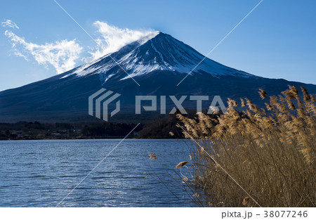 Mount Fuji with foreground of lake and long grass 38077246