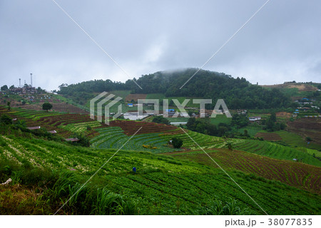 gabbage field in mountain valley at mon jam 38077835