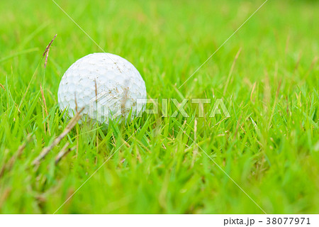 Golf ball on grass 38077971