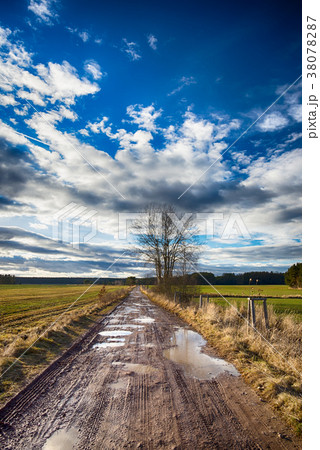 Dirty road with many puddles in sunny autumn day 38078287